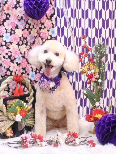 20250129ジョナくん